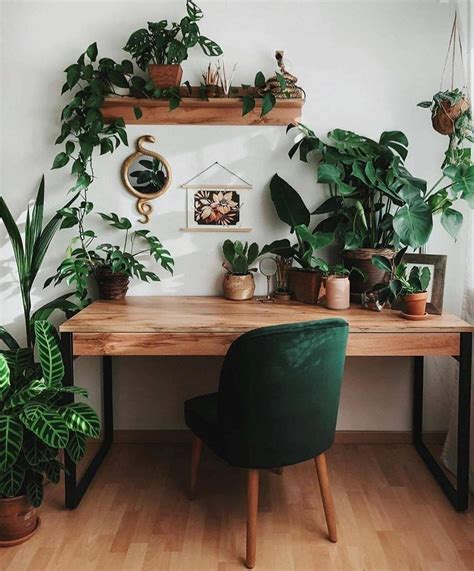 Plant Office Decor, Plant Decor Indoor, Home Office Decor, Office Ideas, Office Inspo, Office ...