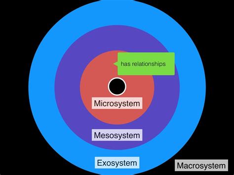 Microsystem Mesosystem Exosystem Macrosystem family,