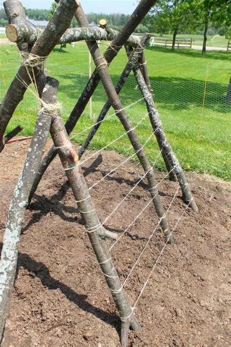 How to build a snap pea trellis fort for kids this summer! So fun! #gardendesign | Diy garden ...