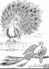 The Fables Of Aesop Selected Told Anew And Their History Traced 1894  sketch template