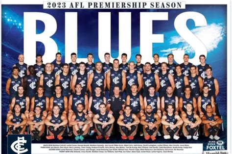 LAMINATED 2023 CARLTON blues team POSTER,AFL FOOTBALL BIG 420mm 1 EUR 18,32 - PicClick FR