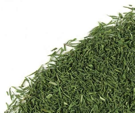 Dried Organic Dill Weed Bulk Herbs and Spices 2 OZ 56.75