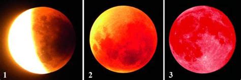 4. Lunar eclipses: partial (1), total penumbral eclipse (2) and total ...