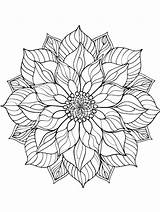 Premium Vector  Coloring Book Page Black And White thin Line Art sketch template