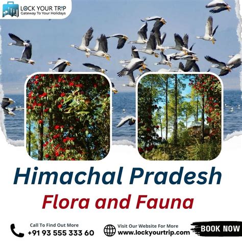 Exploring the Biodiversity of Himachal Pradesh Flora and Fauna | by ...