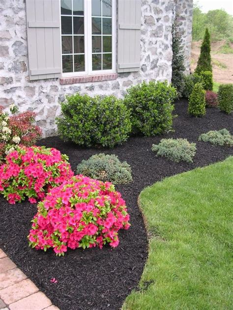 Stunning Black Mulch Landscaping Ideas You Must See