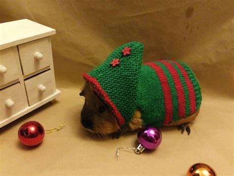 Guinea Pig Dress Red Costumes Pet Green Clothes for Pig | Etsy