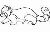 Red Panda Coloring Pages  Free Printable For Kids sketch template