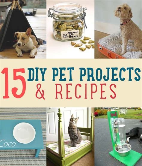 26 best DIY Pet Projects images on Pinterest | Pets, Bricolage and Craft ideas