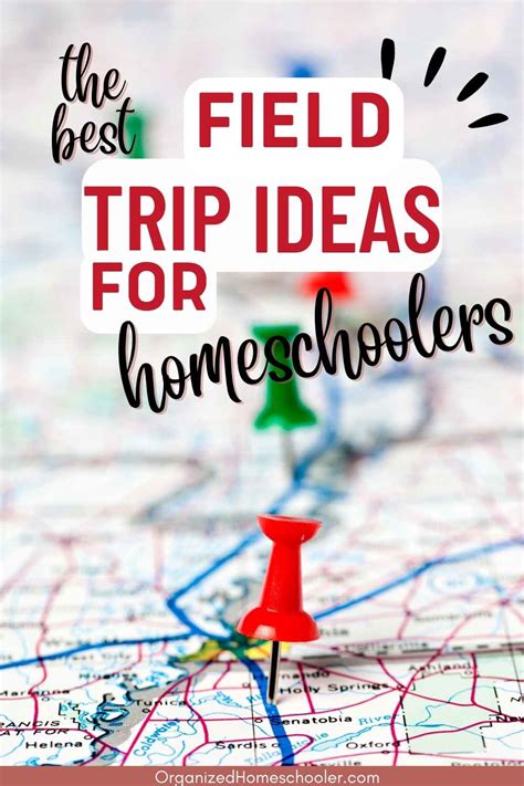 30+ Awesome Homeschool Field Trip Ideas Kids Will Love ~ The Organized ...