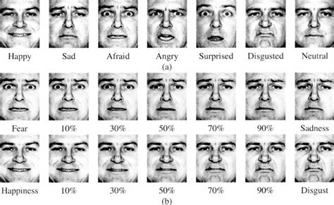 Types Of Angry Facial Expressions - Design Talk