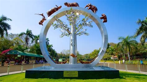 Nehru Zoological Park Hyderabad Location, Zoo Timing, Ticket Price