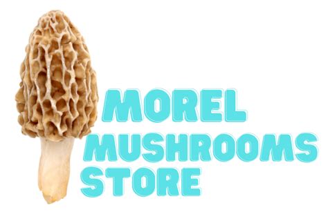 Contact Us - Morel Mushrooms for Sale