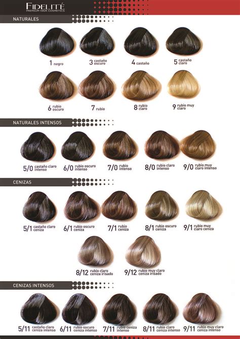 Carta de colores Color Master 01 Hair Color Chart, Color Charts, Hair ...