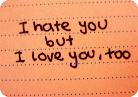 Photo Explanations: I Hate You, But I Love You