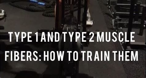 Type 1 & Type 2 Muscle Fibers: How to Train Them