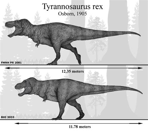 The Mightiest of Them All: Tyrannosaurus rex by Paleonerd01 on DeviantArt