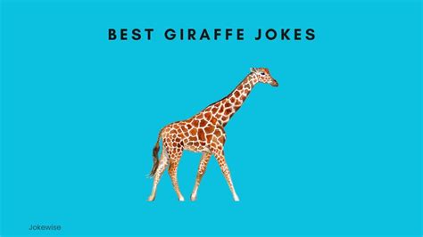 100 Funny Giraffe Jokes That Will Make You Laugh - Jokewise