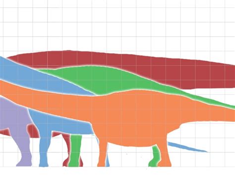 Bruhathkayosaurus Fossils