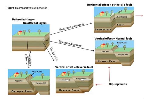 Previously unknown faults at the foot of the Himalaya discovered - INSIGHTS IAS - Simplifying ...