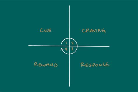 Motivation vs. Discipline - Key Differences | Rushcutters Health