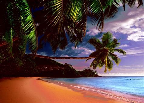 Tropical Beach Paradise Island Wallpapers - Wallpaper Cave