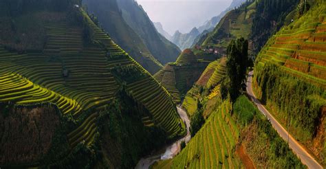 The hillside rice field terraces of Thailand | Thailand, Cambodia, Vietnam, Nepal | Travel ...