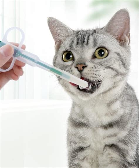 Pet Pill Syringe Pet Medicine Feeder Pill Gun For Dogs and Cats Cat Pill Popper Soft Tip Pet ...