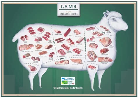 lamb cuts of meat chart | Below is a handy poster displaying Lamb and the new english cut’s ...