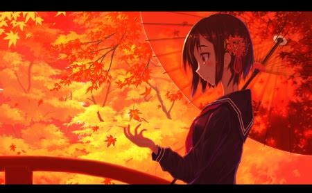 Autumn leaves - Other & Anime Background Wallpapers on Desktop Nexus ...