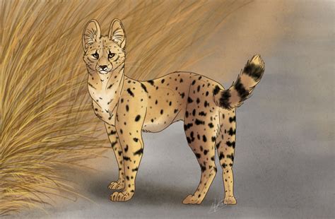 Serval by xKerei on DeviantArt