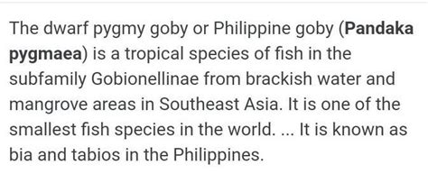 Ano ang Pandaka Pygmaea? filipino po iyan - Brainly.ph