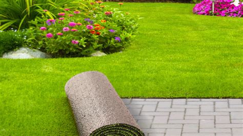 Singapore Carpet Cleaning: 7 Important Tips On Carpet Grass Maintenance #carpet #carpetcleaning ...