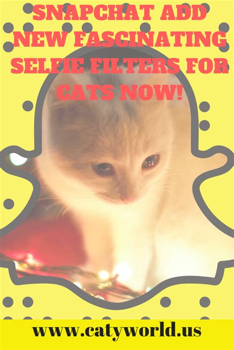 SNAPCHAT ADD NEW FASCINATING SELFIE FILTERS FOR CATS NOW! snapchat was ...