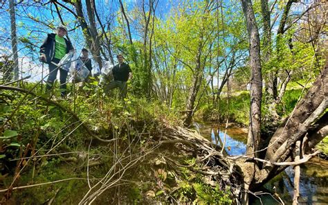 Clean-up on the Swannanoa River near Azalea Park - Buncombe County Greenways | Connect Buncombe