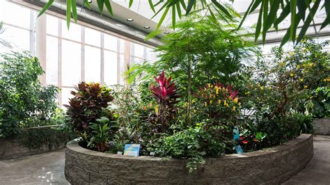 Tropical Butterfly House at Pacific Science Center | Butterfly house, Magical garden, Butterfly ...