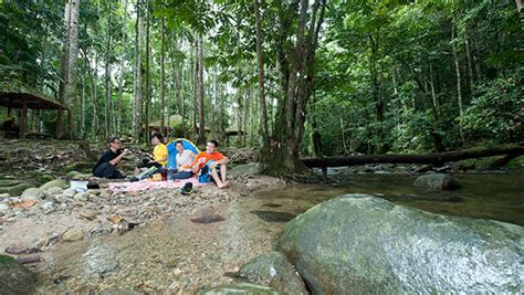 Sungai Congkak Recreational Forest (Hutan Lipur Sungai Congkak) – Visit Selangor