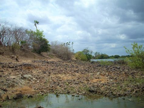 Alluvial soil formation in the plains of northeastern Brazil - RBCS - Revista Brasileira de ...