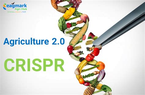 The Duality, Promise, and Perils of CRISPR in Feeding the World