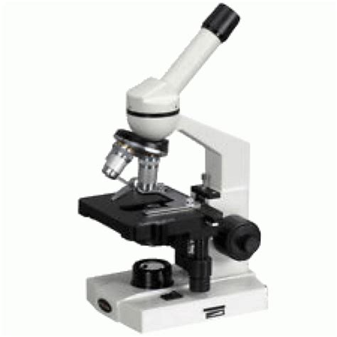 Monocular Microscope - 400x