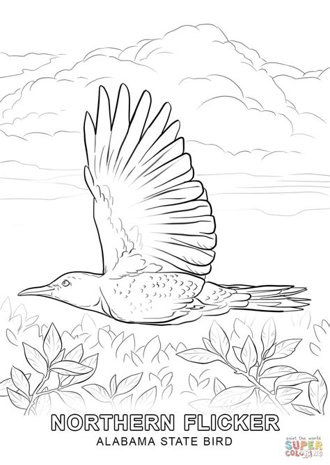 Alabama State Bird coloring page | Free Printable Coloring Pages