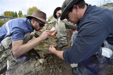 Columbian mammoth tusk unearthed in Idaho with more skeleton likely buried | CTV News