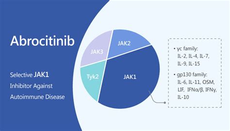 Abrocitinib, a Selective JAK1 Inhibitor Against Autoimmune Disease - Immune System Research