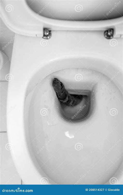 Shit in toilet stock image. Image of character, stink - 208514327