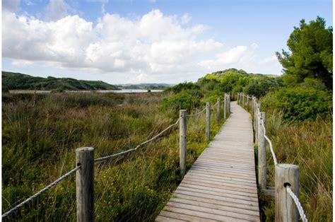 Parc natural de s´Albufera (Nature park) - Turbopass