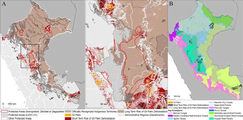 (A) Map depicting long-term risk of deforestation for oil palm ...