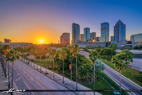 Tampa Skyline Sunset Through Palm Tree | HDR Photography by Captain Kimo