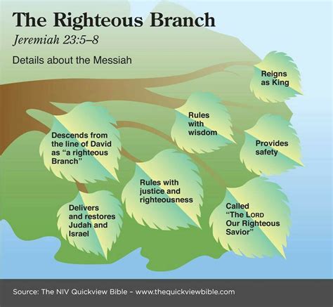 The Righteous Branch…Jeremiah 23:5-8 | *Bible Study Guides | Pinterest ...