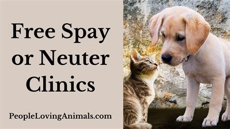 Free Spay or Neuter Clinics | How to Find Free or Low-Cost Spaying or Neutering #spayandneuter ...