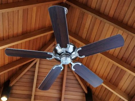 6 Best Natural Wood Ceiling Fans For Indoors & Outdoors (Damp Rated)